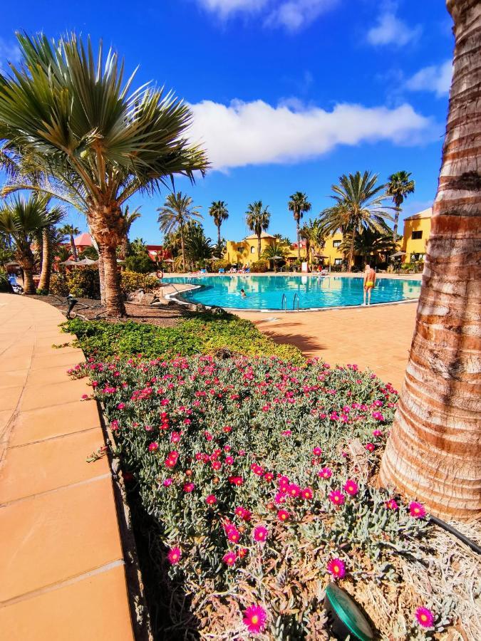 Appartamento Spagnolo Oasis Tamarindo Corralejo Exterior foto